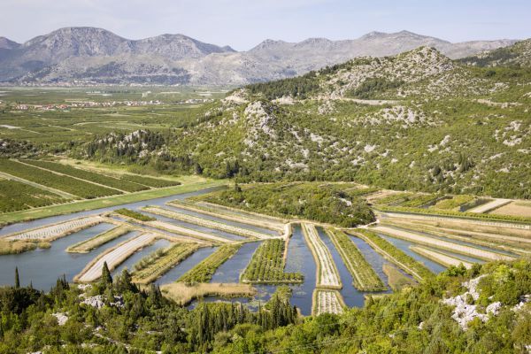 neretva_mandarine_dolina_neretve_bosna_reka_obiranje_sadje_izlet1A8EC2D0C-CA0F-AC35-D3AE-8FE707CE821A.jpg